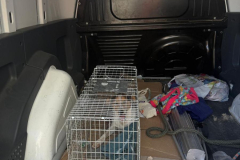 WhatsApp-Image-2026-03-17-at-22.53.44