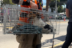 WhatsApp-Image-2026-03-17-at-22.53.452