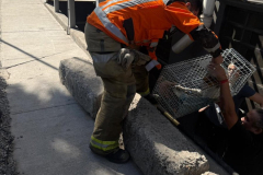 WhatsApp-Image-2026-03-17-at-22.53.453