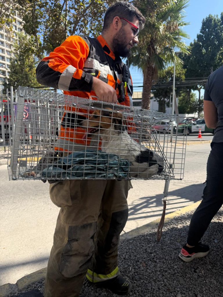 WhatsApp-Image-2026-03-17-at-22.53.452